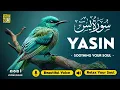 Download Lagu Relaxing Surah Yasin for Sleep, Depression, \u0026 Anxiety ✦ Yaseen سورة يس ✦ Relaxing Quran ✦ Hejazi