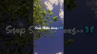 Snap Streak Ideas MoonShine 