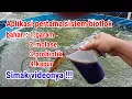 Lagu Aplikasi pertama pada kolam bioflok || bahan yang di gunakan agar bisa terbentuk flok