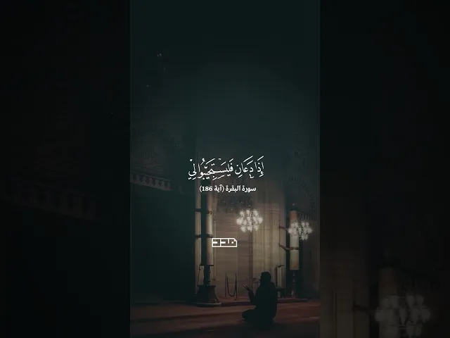 ⁣إنّي قريب🙏🏼#القرآن_الكريم #سورة_البقرة #آية #تلاوة #مدد