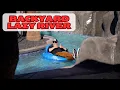 Private Oasis with LAZY RIVER Backyard Pool Walkthrough PART 1