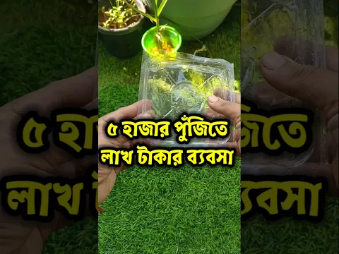৫ হাজার পুঁজিতে ঘরোয়া ব্যবসা। Start Business in 5000 Rupees Only| Low Investment Business