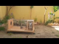 Download Lagu Homemade Sparrow Trap, To Catch All Kinds of Birds! Part 1