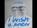 i wish u knew - vaultboy