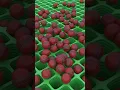 Download Lagu Into The Grid Cricket Balls Drop #voldoening #cricket #bal #animatie #iccchampionstrophy2025