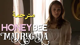 Madrugada Honey Bee مترجمة عربي 