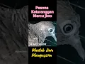 Yang Punya Mata Paling Melotot