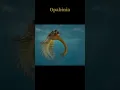 Lagu Weirdest animals from CAMBRIAN period 🦖