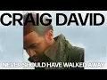 Craig David - Never Should Have Walked Away (Official Audio)