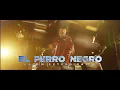 Grupo Exterminador - El Perro Negro