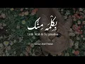 Download Lagu Bikelma menak - sherine Abdel wahab