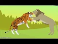 Lion VS Tiger TEST ANIMATION