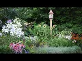 Download Lagu Lily Garden Tour // Northlawn Flower Farm
