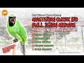 Download Lagu Masteran Cucak Ijo Gacor Full Isian! Gereja Tarung, Kapas Tembak, Tengkek Buto | Tembakan Juara 2025