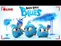 Download Lagu 🔴 LIVE Angry Birds Party | Blues All Episodes 💙