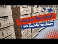 Decorated Shipping Box from Cackle Hatchery