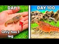 Raising a Crayfish for 100 Days