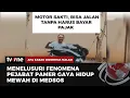 [FULL] Pejabat Hedonis, Gangguan Jiwa Narsis | AKIM tvOne