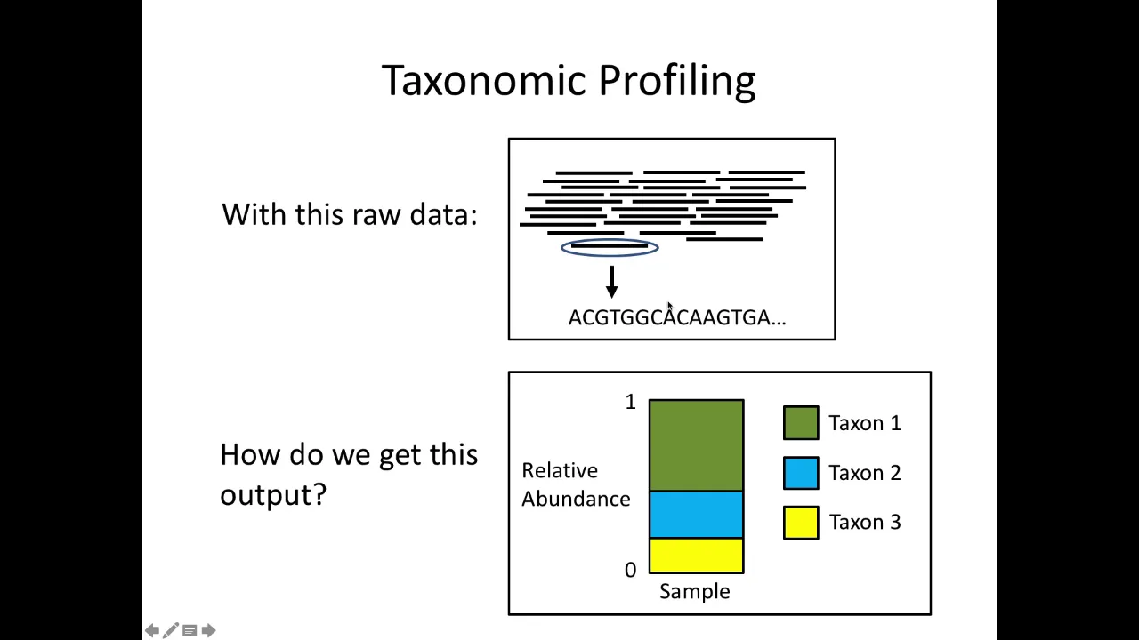 Analysis of Metagenomic Data