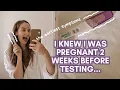 How I Knew I Was Pregnant Before A Positive Test Early Symptoms 3 DAYS After Conception