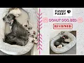 Funny Fuzzy Donut Dog Bed Review
