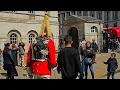 Download Lagu RUDE IDIOT FRENCHIE FAMILY MOCK THE GUARD - THEN HAVE A GO AT ME! Zero respect at Horse Guards!