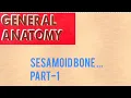 GENERAL ANATOMY---1 SESAMOID BONES