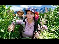 5 Days on the Abandoned Trail in the Heart of the Cascade Mountains