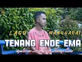 Download Lagu TENANG ENDE EMA😭 LAGU MANGGARAI TERBARU2024 LORENSO FERDI-SERVAS HARTOYO COVERS