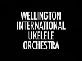 The Bucket - The Wellington International Ukulele Orchestra