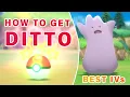 Where to Catch Ditto with BEST IVs Pokemon Brilliant Diamond BDSP
