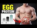 Eggs The BEST Muscle-Building Food 6 scientific studies