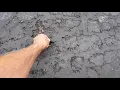 Home Depot vs Menards Driveway Coating 1 year later
