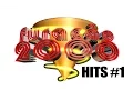 Download Lagu SEQUÊNCIA HITS FURACÃO 2000 #1