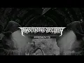 TERRA BUILDER (Germany) - Abyss (Death Metal/Grindcore) Transcending Obscurity Records