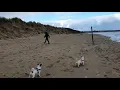 Erosion on South Beach Rush Dublin