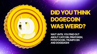 — The strangest cryptocurrencies: from Dogecoin to the Elon Musk token!