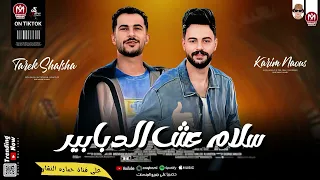 السلام اللي مكسر الدنيا سلام  عش الدبابير  بطلعات كلها جديده         كريم ناعوس و طارق شئلشه دندنها