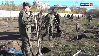 Сотрудники следственного комитета во время городского субботника высадили липы