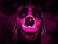 Download Lagu NO ERA AMOR [ SLOWED ] (BRAZILIAN PHONK) #phonk #phonkmusic #phonkdrift #bass #music