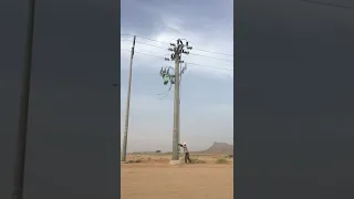 قوة الضغط العالي Shorts 