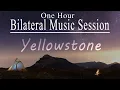 Download Lagu Yellowstone 🎧 Elk, Campfire Sound with Calm Bilateral Music for Anxiety, PTSD, Stress, Deep Sleep MP3