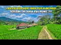 Download Lagu ASTAGA GAK MASUK AKAL ⁉️ MURAH MERIAH HIDUP DI PEDESAAN JAWA BARAT