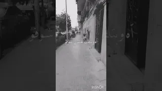 أيامنا ازاي يرجعو تيك توك 