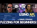 FUZZING FOR BEGINNERS KUGG teaches STOK American fuzzy lop