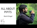 Download Lagu Delhibird Talks: All About Pipits - How to Identify Pipits (Ramit Singal)