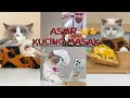 Download Lagu KUMPULAN VIDIO KUCING MASAK TIKTOK VIRAL||KUCING ASMR