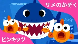 サメのかぞく | #babyshark | 再生回数１位 | 童謡 | どうぶつのうた | ピンキッツ