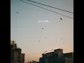 Bon Voyage - Lo.Flynn