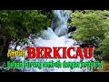 Download Lagu Terapi air ampuh untuk menghilangkan stres burung kembali berkicau gacor